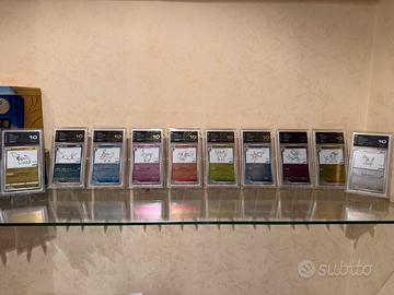 Set Pokemon Eevee Evolution