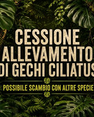 Allevamento gechi ciliatus Blocco
