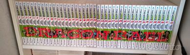 Dragonball Evergreen manga completo 1-42