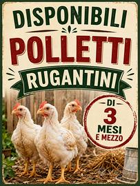 Polletti