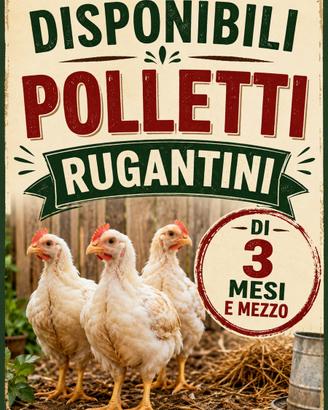 Polletti