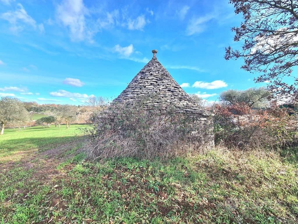 Terreno di 9900 m² a Alberobello - Vista 4