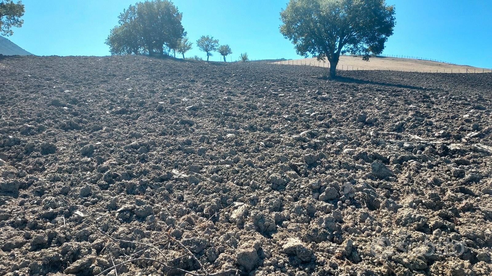 Terreno agro di Laurenzana - Vista 3