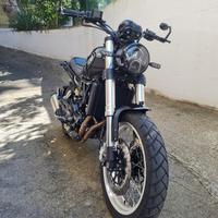 Benelli leoncino 500 trail