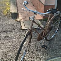 bici donna