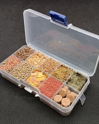 Box 10 Mangimi variegati per Acquario