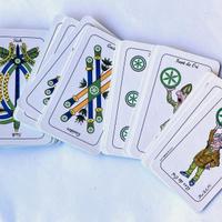 Carte Bergamasche Lega Nord