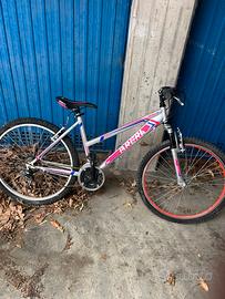 Bici muntain bike