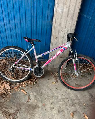 Bici muntain bike
