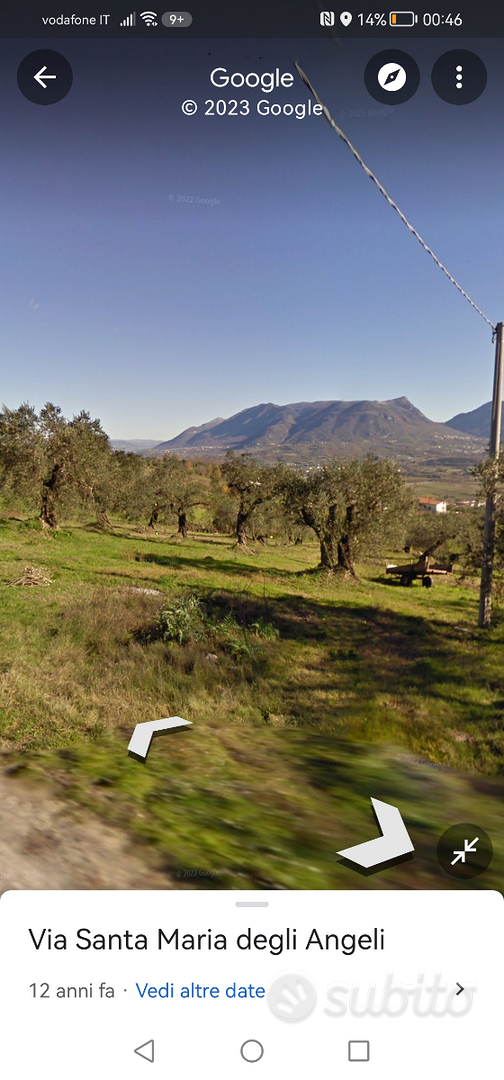 Appezzamento di terreno con ulivi - Vista 4