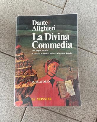 Libro “Il Purgatorio” della Divina Commedia