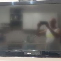 TV LG 43 pollici 