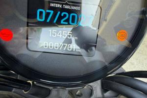 Triumph Trident 660 Tribute Edition 2024
