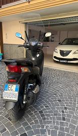Sh 300 anno 2015