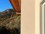 Immagine 22