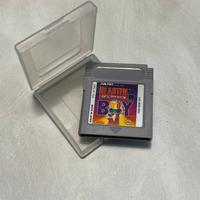 Blaster master boy gameboy