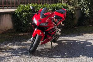 Honda cbr 600 rr