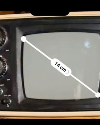 Mini tv marca Shiljalis