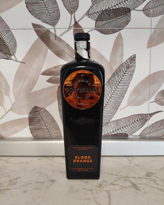 bottiglia vuota di gin 