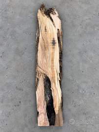 Tavola in ulivo grezza 160x35  spessore 5 cm