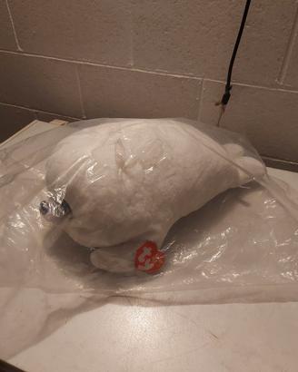 Peluche Beanie Boos foca polare