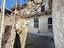 Immagine 29
