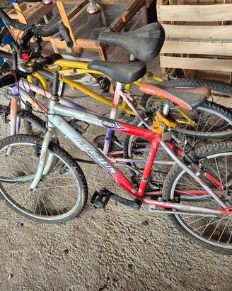 3 biciclette