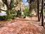 Immagine 26