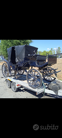 Carrozza cavalli
