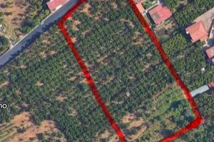 Terreno Agricolo via Fiano
