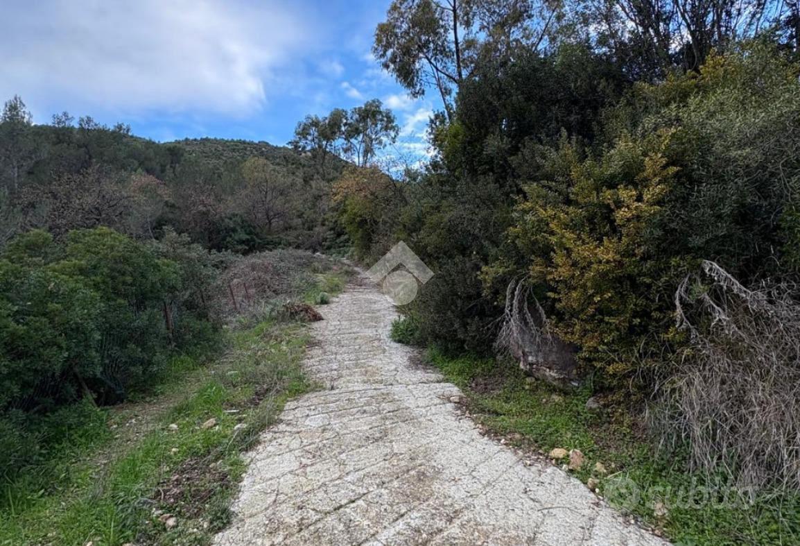 TER. AGRICOLO A VENTIMIGLIA - Vista 4