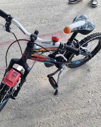 Bicicletta.bambino