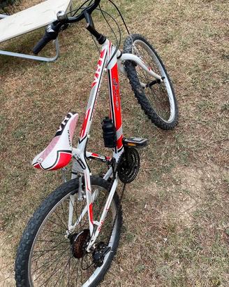 Bicicletta 24 ragazzo/a