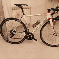 bici cannondale carbonio 