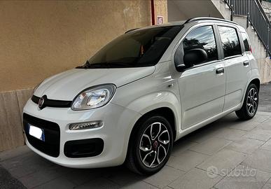 Panda hybrid 2025