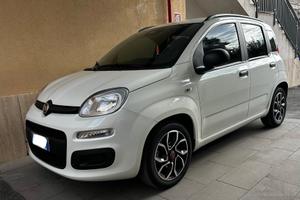 Panda hybrid 2025