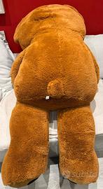 Orso Peluche