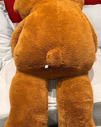Orso Peluche