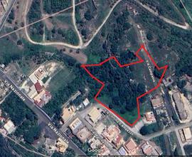 Terreno agricolo