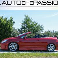 Coppia minigonne in ABS per Peugeot 307 2 4 porte
