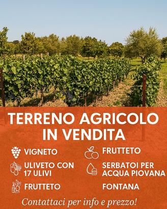 Terreno agricolo con vigneto, uliveto e frutteto