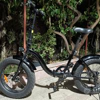 Fat bike