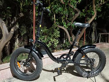 Fat bike