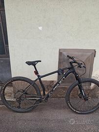 viola v-project crossfit 29 tg 19 2025