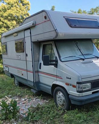 Camper Arca freccia