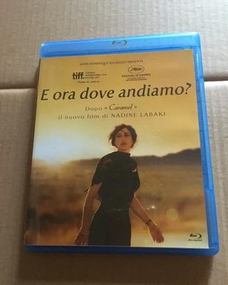 E ora dove andiamo? (2011)