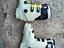 Immagine 2