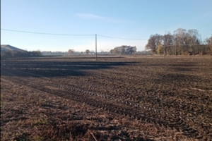 1 Ettaro e mezzo di terreni