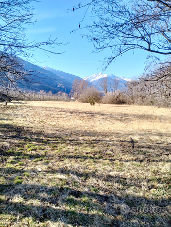 Terreno agricolo vicino a Merano