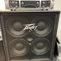PEAVEY TOUR 450 + TVX 410